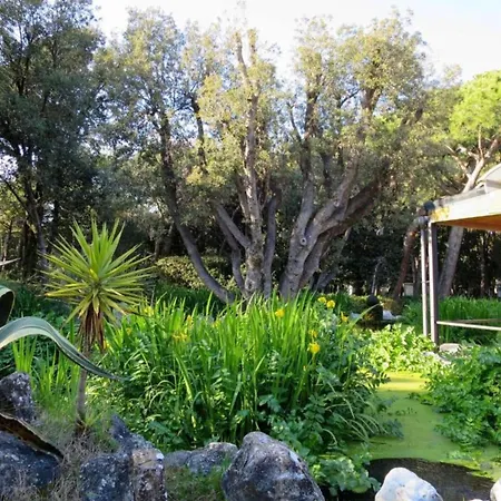 Pool & Veranda Baia Domizia